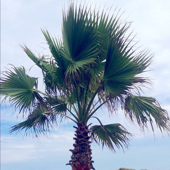 Meet your Posher, Retail Therapy - Picture 4 of 4